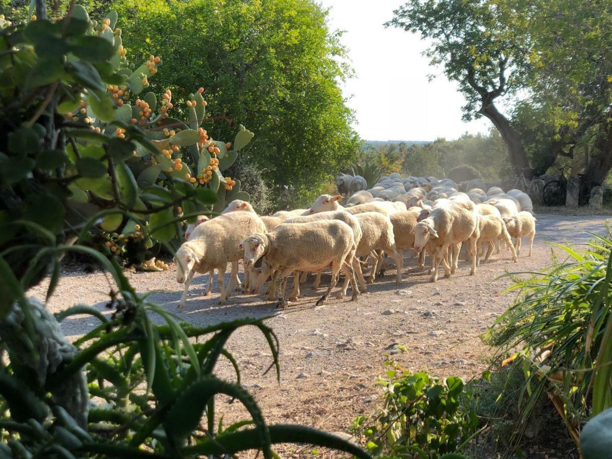 הוילה פוינסה Agroturismo Can Guillo מראה חיצוני תמונה