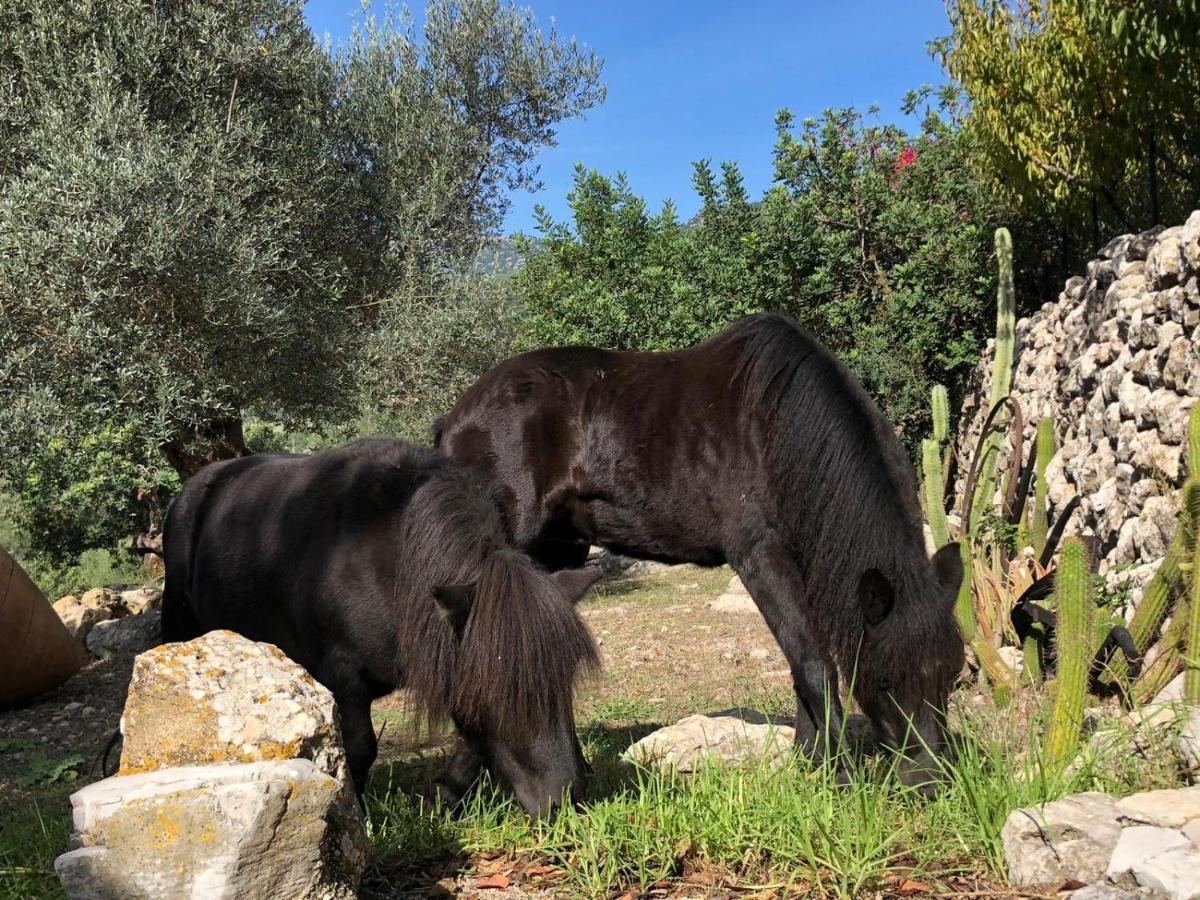 הוילה פוינסה Agroturismo Can Guillo מראה חיצוני תמונה